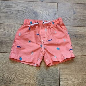 12m Carter's Boys Swim Trunks
